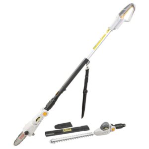 Ryobi Cordless 18V Pruner & Pole Hedger 2 In 1 XPPH-18