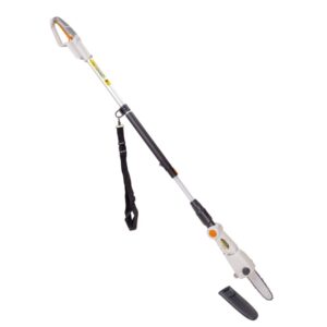 Ryobi Cordless 18V Pole Chain Saw Bar & Chain XPCS-18